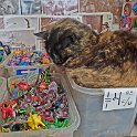 DSCF0535