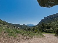 Vignobles