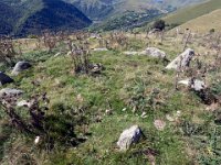 Cromlech