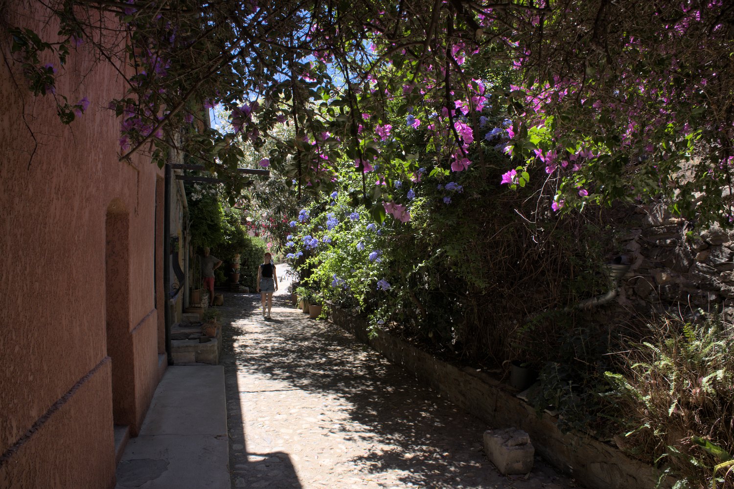 Ruelle