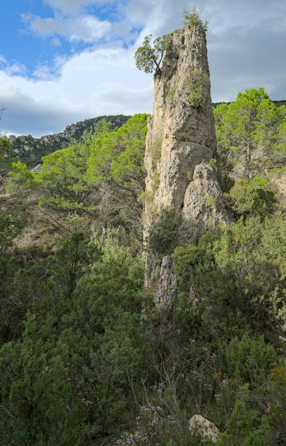 Rochers et formes