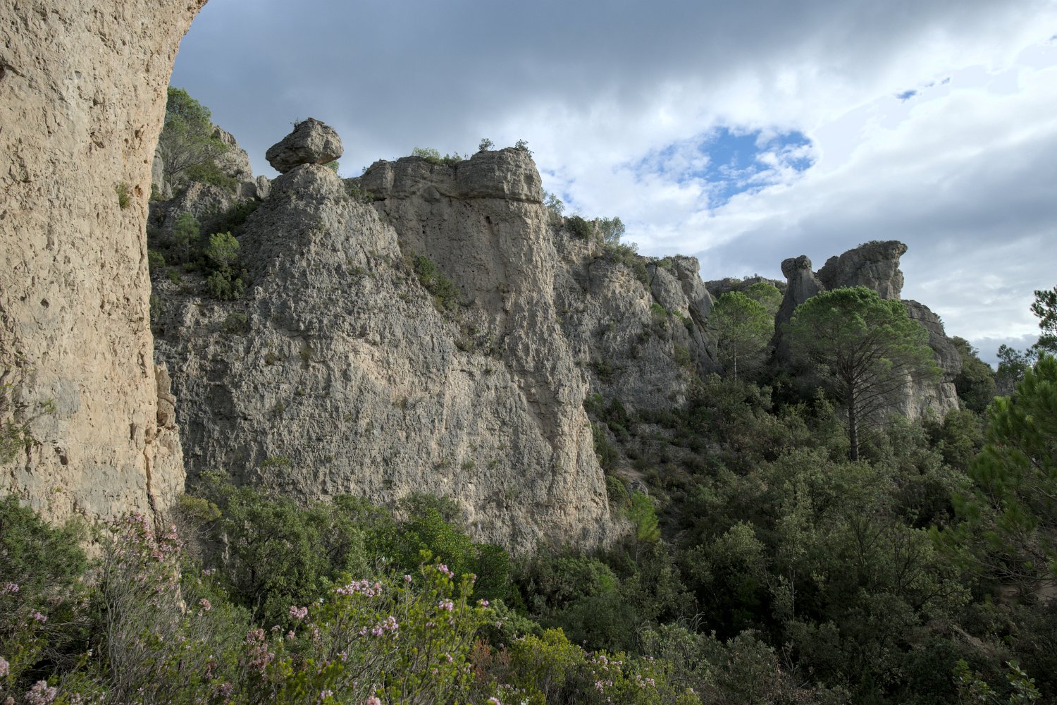 Rochers et formes