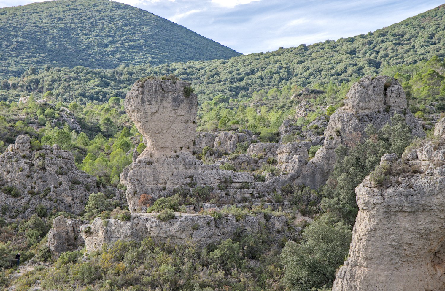 Rochers et formes