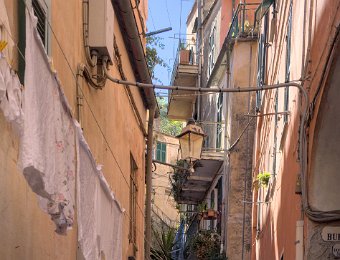 Ruelle
