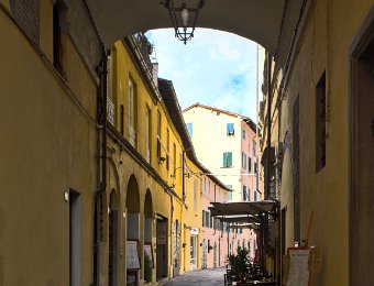 Rue