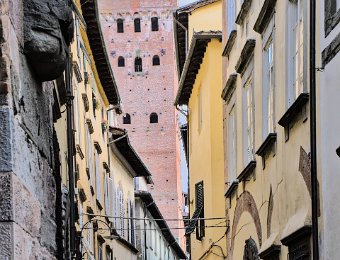 Rue