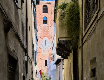 Rue