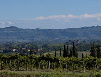 Chianti