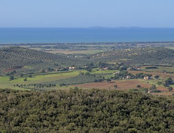 DSCF9559