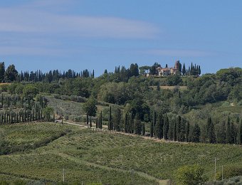 DSCF8778