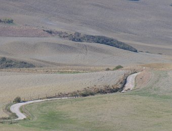DSCF9075