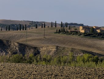DSCF9113