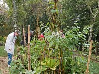 Jardin médiéval