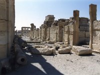 Le forum