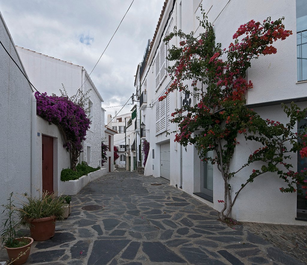 Rue