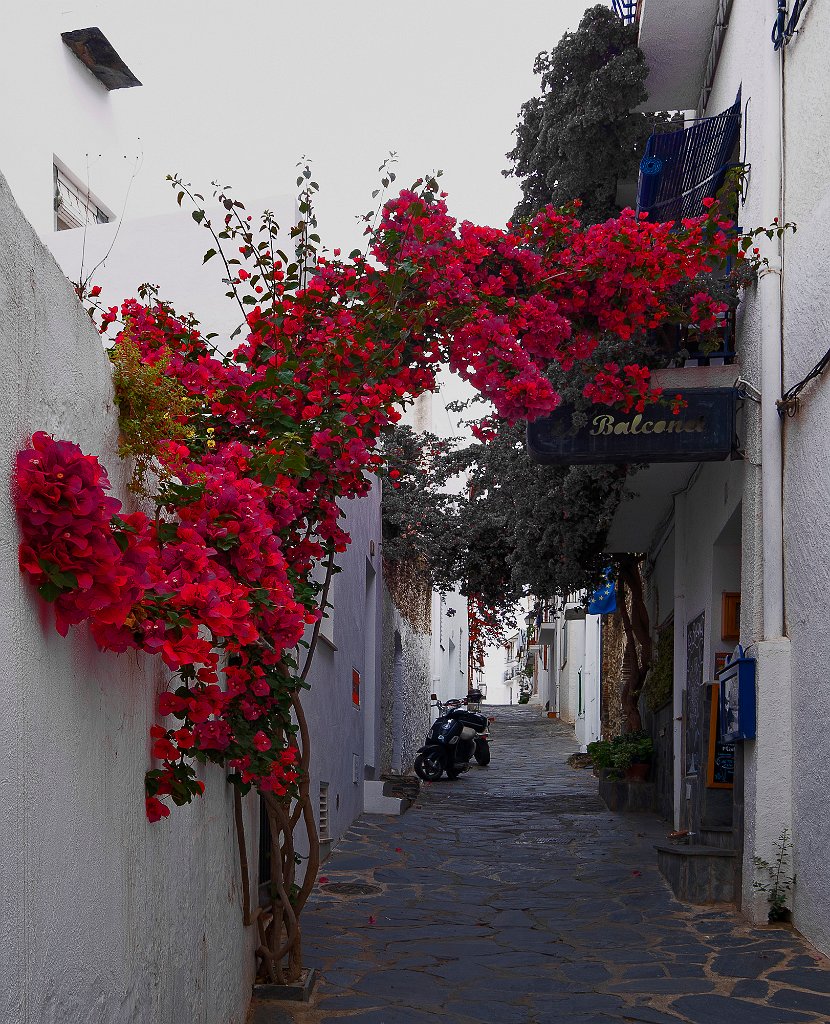 Rue