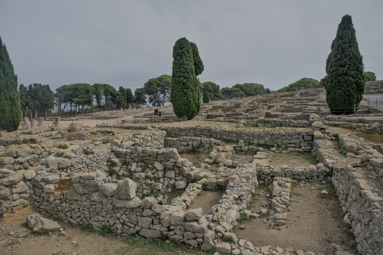 Vue générale