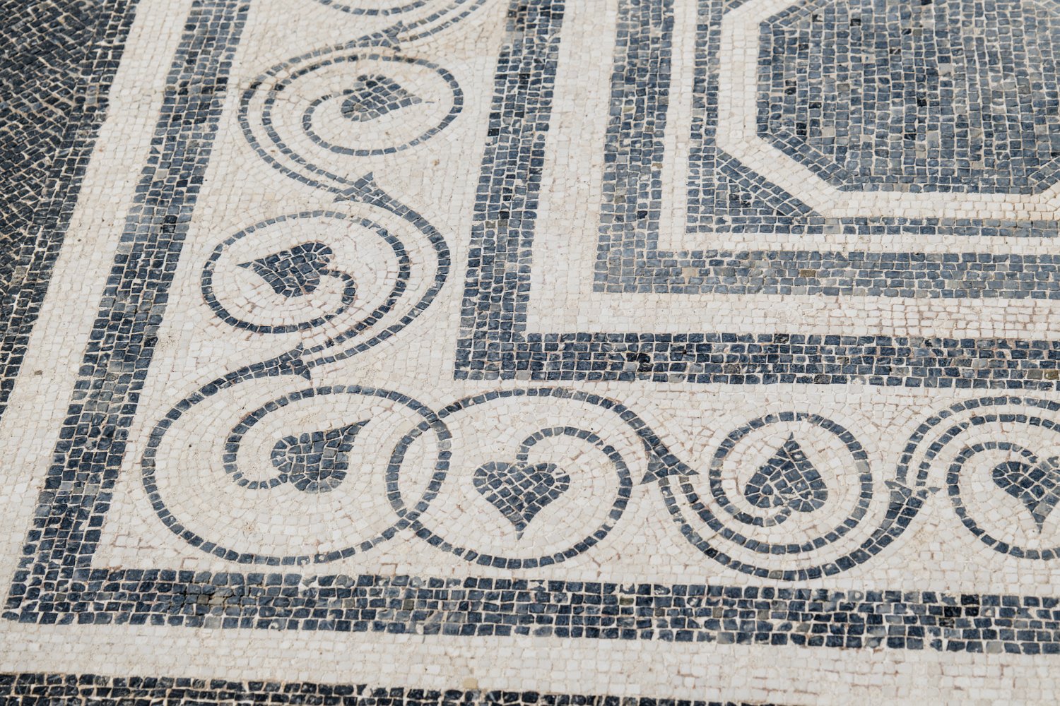 Mosaïque (détail)