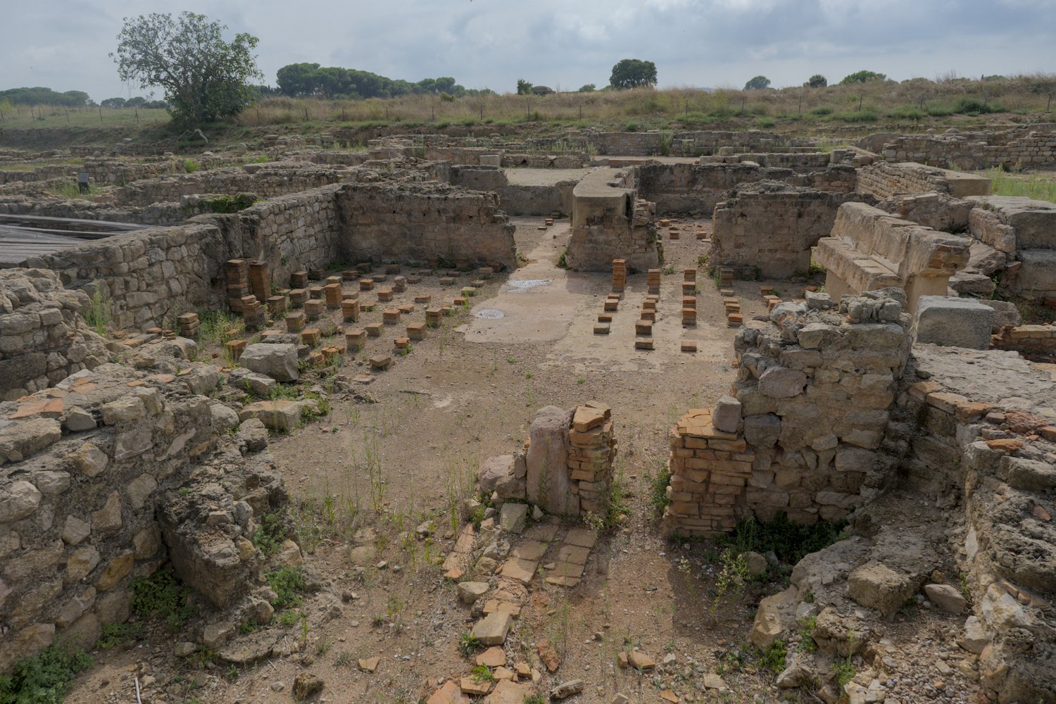 Vestiges des termes
