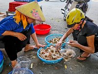 Champignons