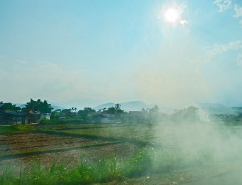 Paysages agricoles